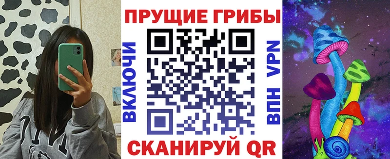 Псилоцибиновые грибы Psilocybine cubensis  МЕГА ССЫЛКА  Сызрань 